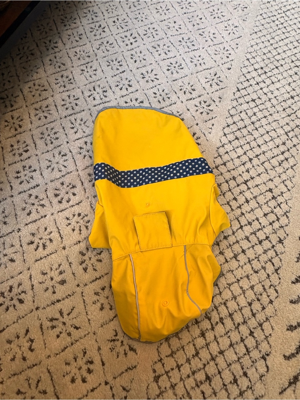 Yellow Dog Raincoat with Polka Dot Trim
